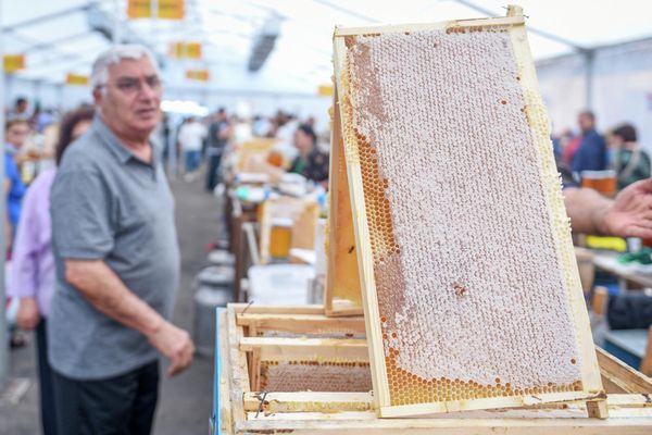 Республиканская выставка-ярмарка продукции пчеловодства в Баку. - Sputnik Азербайджан
