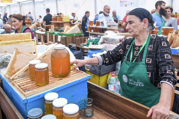 Республиканская выставка-ярмарка продукции пчеловодства в Баку. - Sputnik Азербайджан