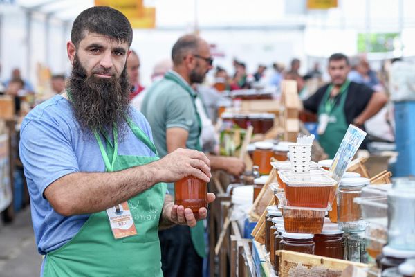 Республиканская выставка-ярмарка продукции пчеловодства в Баку. - Sputnik Азербайджан