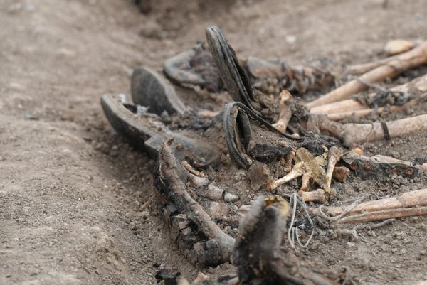 На сегодняшний день около 4 000 азербайджанцев считаются пропавшими без вести. - Sputnik Азербайджан