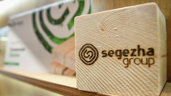 Генеральный директор Segezha Group маргарита ли - Sputnik Азербайджан
