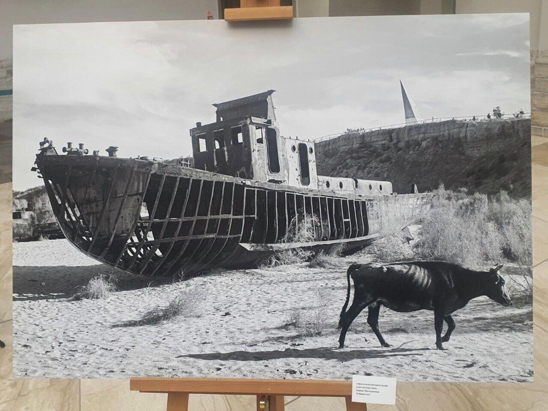 Фотография на фотовыставке в рамках международного медиа-форума молодых журналистов Диалог культур в Санкт-Петербурге - Sputnik Азербайджан, 1920, 25.10.2022