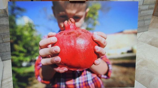 Фотография на фотовыставке в рамках международного медиа-форума молодых журналистов Диалог культур в Санкт-Петербурге - Sputnik Азербайджан