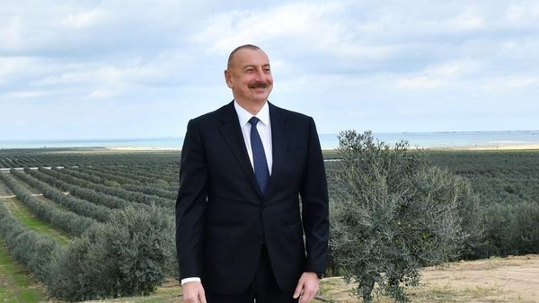 Президент Азербайджанской Республики Ильхам Алиев принял участие в открытии в поселке Зиря Хазарского района Баку крупнейшего в регионе завода по переработке оливкового масла и столовых оливок Общества с ограниченной ответственностью (ООО) «Абшеронские оливковые сады» - Sputnik Азербайджан