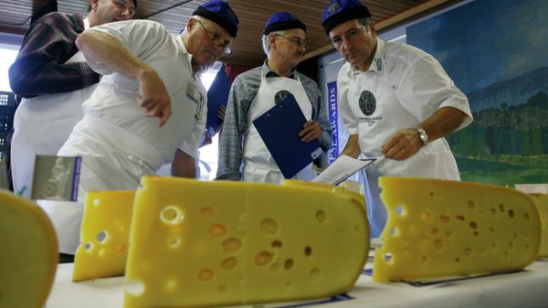  Cheese Awards  - Sputnik Азербайджан