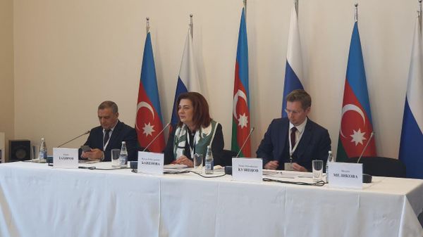 В Русском доме в Баку стартовало пленарное заседание «Диалог деятелей культуры России и Азербайджана. 30 лет успешного сотрудничества» - Sputnik Азербайджан