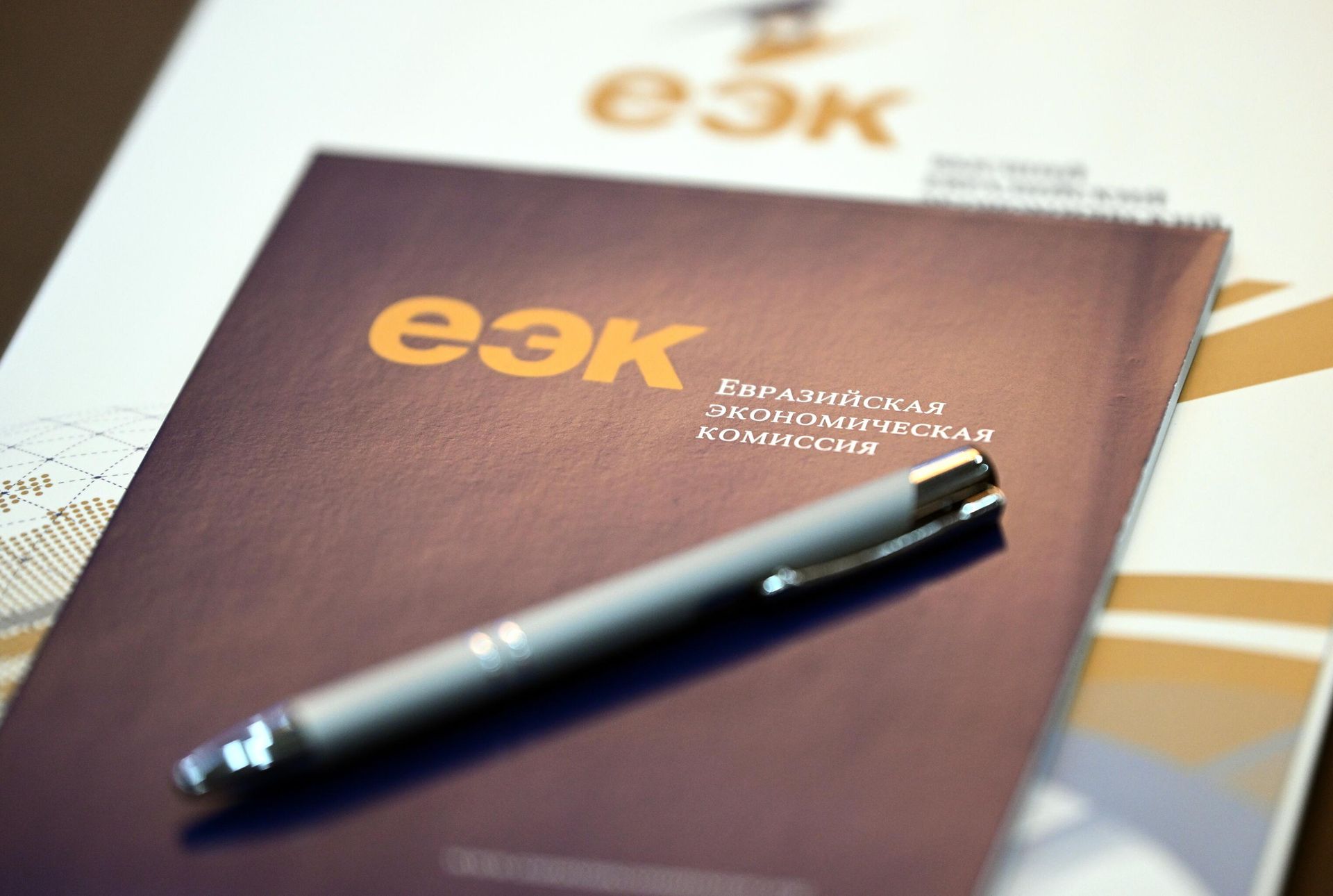 На саммите стран - участниц Евразийского экономического союза (ЕАЭС) - Sputnik Азербайджан, 1920, 19.06.2024