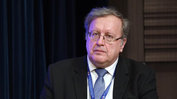 Доктор экономических наук, профессор кафедры европейских исследований Санкт-Петербургского государственного университета Станислав Ткаченко  - Sputnik Азербайджан