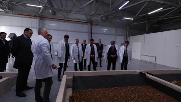 ООО Provive, занимающееся производством белковых и органических удобрений (зоогумус) из пищевых отходов - Sputnik Азербайджан