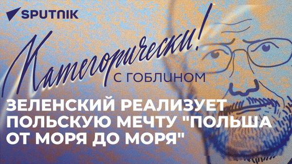 Гоблин о взрыве в Петербурге, ядерном оружии в Беларуси, вступлении Финляндии в НАТО и аресте Трампа
 - Sputnik Азербайджан