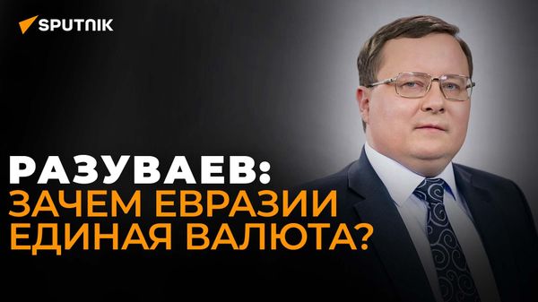 Экономист Разуваев о единой евразийской валюте, исламском банкинге и исключениях из западных санкций - Sputnik Азербайджан
