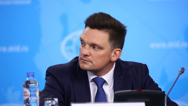  Глава Евразийского банка развития (ЕАБР) Николай Подгузов  - Sputnik Азербайджан