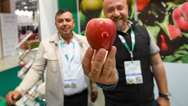 16-ая Азербайджанская Международная Выставка «Сельское Хозяйство» Caspian Agro и 28-ая Азербайджанская Международная Выставка «Пищевая Промышленность» InterFood Azerbaijan - Sputnik Азербайджан