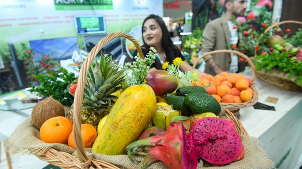 Продукты сельского хозяйства, фото из архива - Sputnik Азербайджан