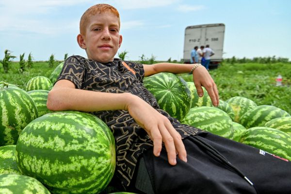 Мальчик во время отдых на полях фермерского хозяйства в селе Гарасу Кюрдамирского района Азербайджана. - Sputnik Азербайджан