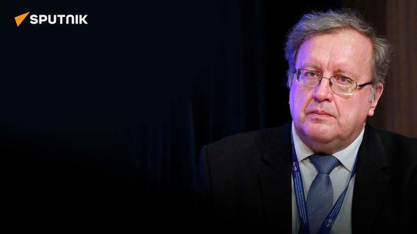 Экономист Ткаченко: за 10 лет ЕАЭС прошел тот путь, на который у Европы ушло 40 - Sputnik Азербайджан