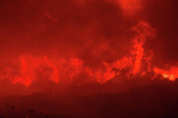 Лесной пожар в деревне Авантас в северо-восточном регионе Эврос, Греция. - Sputnik Азербайджан
