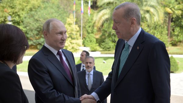 Президент РФ Владимир Путин и президент Турецкой Республики Реджеп Тайип Эрдоган (справа) во время встречи - Sputnik Азербайджан