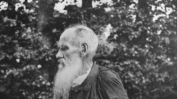 Русский писатель и мыслитель Лев Николаевич Толстой в Ясной поляне, 1902 год - Sputnik Азербайджан