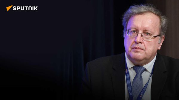 Экономист Ткаченко об итогах ВЭФ, развороте товарооборота на Восток и значении коридора Север-Юг - Sputnik Азербайджан