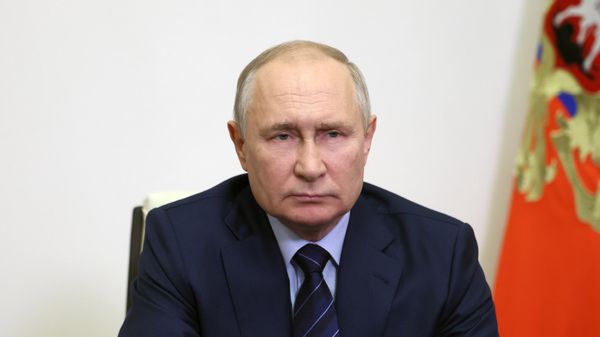 Rusiya prezidenti Vladimir Putin - Sputnik Азербайджан