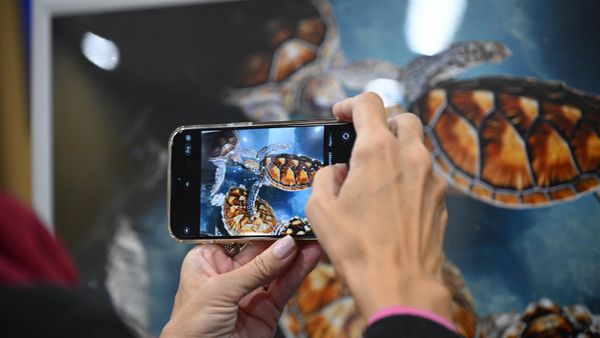 Посетительница фотовыставки перед началом торжественной церемонии объявления Гран-при и победителей конкурса фотожурналистики имени Андрея Стенина 2023 года в Международном мультимедийном пресс-центре Россия сегодня в Москве - Sputnik Азербайджан