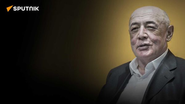 Кыргызский политолог о выгоде стран Центральной Азии от сотрудничества с ЕАЭС, СНГ и ШОС - Sputnik Азербайджан