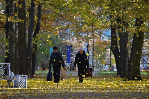 Люди прогуливаются на территории Государственного музея-заповедника Царское Село - Sputnik Азербайджан