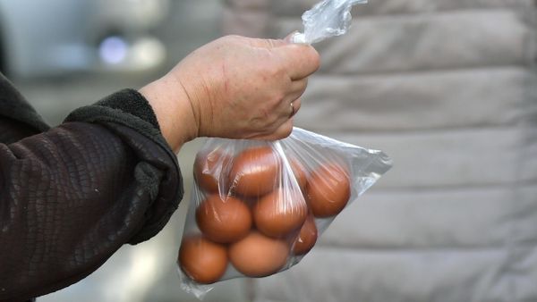 Женщина покупает яйца на продовольственной ярмарке в Симферополе - Sputnik Азербайджан