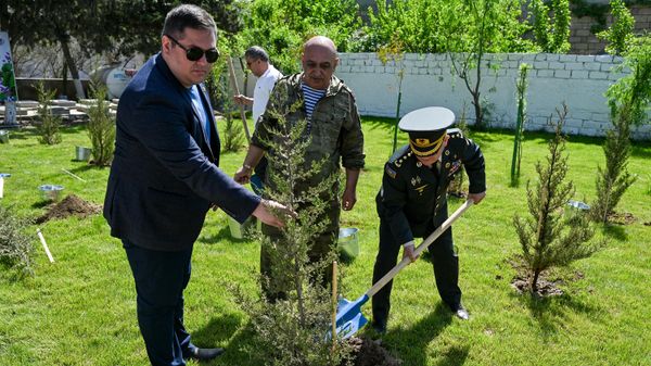 Акция Сад памяти в Баку, посвященная героям-азербайджанцам, отдавшим свои жизни в Великой Отечественной войне - Sputnik Азербайджан