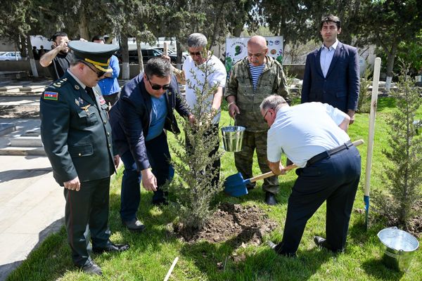 Акция Сад памяти в Баку, посвященная героям-азербайджанцам, отдавшим свои жизни в Великой Отечественной войне - Sputnik Азербайджан