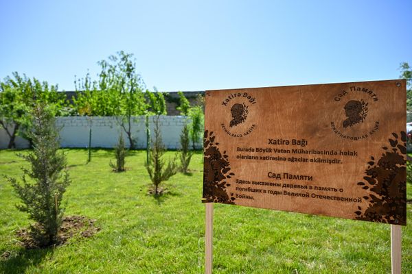 Акция Сад памяти в Баку, посвященная героям-азербайджанцам, отдавшим свои жизни в Великой Отечественной войне - Sputnik Азербайджан