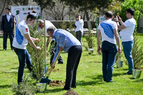 Акция Сад памяти в Баку, посвященная героям-азербайджанцам, отдавшим свои жизни в Великой Отечественной войне - Sputnik Азербайджан