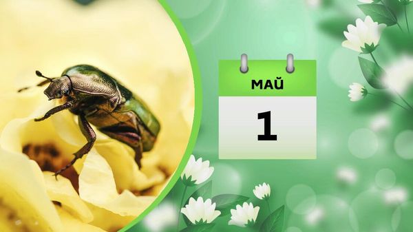 1 мая - Sputnik Азербайджан