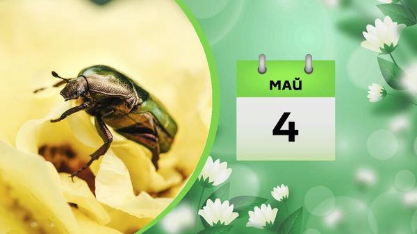 4 мая - Sputnik Азербайджан