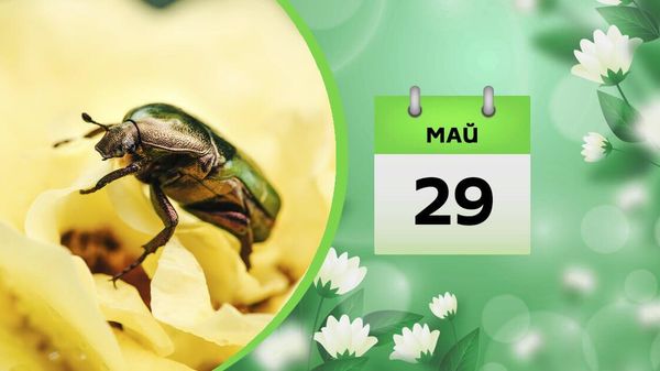 29 мая - Sputnik Азербайджан