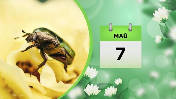 7 мая - Sputnik Азербайджан