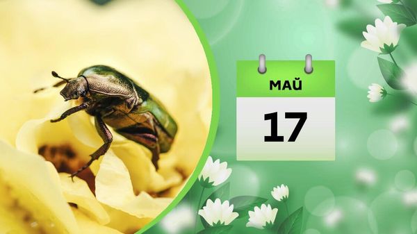 17 мая - Sputnik Азербайджан