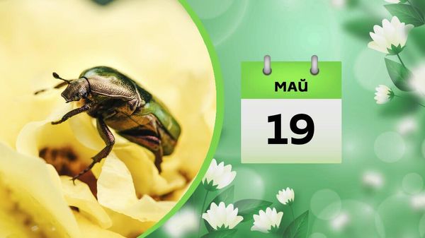 19 мая - Sputnik Азербайджан