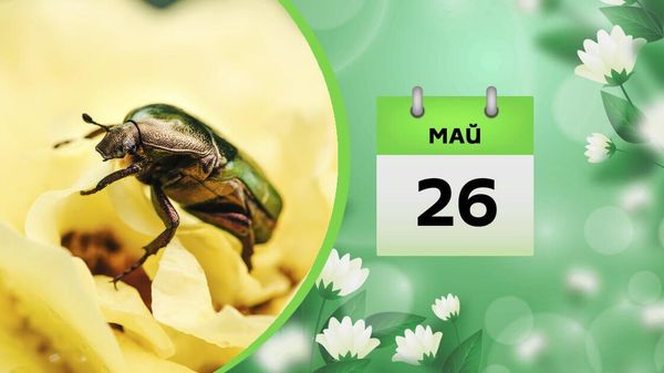 26 мая - Sputnik Азербайджан