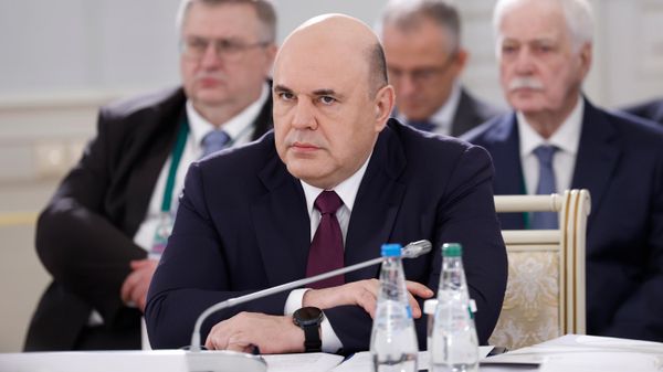 Председатель правительства РФ Михаил Мишустин на заседании Евразийского межправительственного совета в расширенном составе в Несвиже - Sputnik Азербайджан
