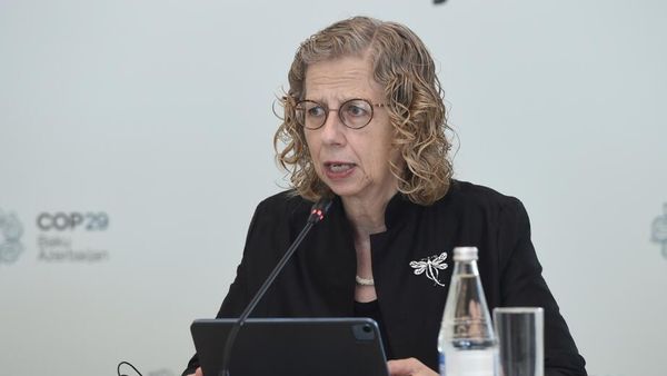 Заместитель генерального секретаря ООН, исполнительный директор UNEP Ингер Андерсен - Sputnik Азербайджан