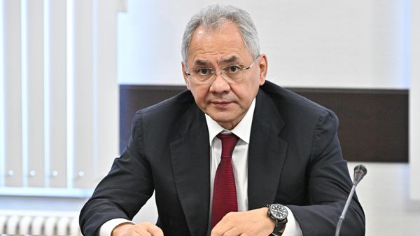 Rusiya Təhlükəsizlik Şurasının katibi Sergey Şoyqu  - Sputnik Азербайджан