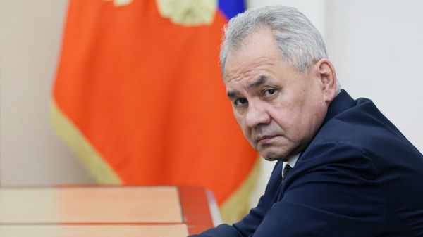 Секретарь Совета безопасности РФ Сергей Шойгу  - Sputnik Азербайджан