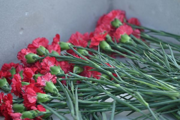 Церемония возложения цветов к памятнику военным морякам парахода "Куба". - Sputnik Азербайджан
