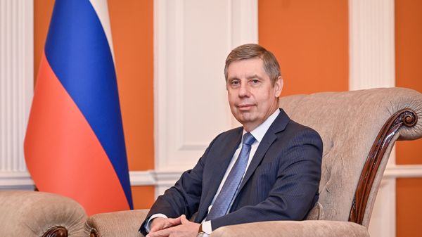 Посол России в Азербайджане Михаил Евдокимов  - Sputnik Азербайджан