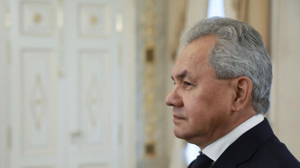 Sergey Şoyqu, arxiv - Sputnik Азербайджан