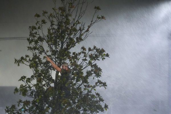 Мужчина забирается на дерево, общаясь с коллегами возле отеля, где они пережидают ураган "Милтон, США. - Sputnik Азербайджан