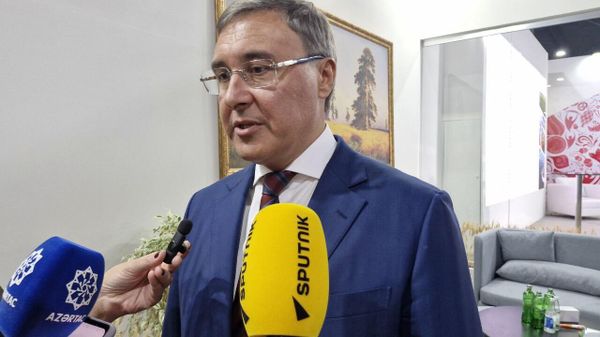 Министр  образования и науки РФ Валерий Фальков  - Sputnik Азербайджан