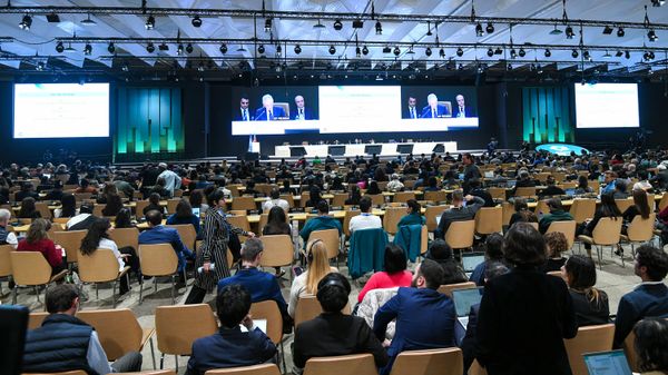 29-я Конференция сторон Рамочной конвенции ООН об изменении климата (COP29) - Sputnik Азербайджан